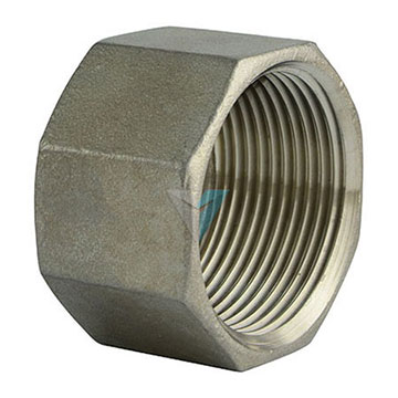 Paslanmaz İç Dişli Kör Tapa